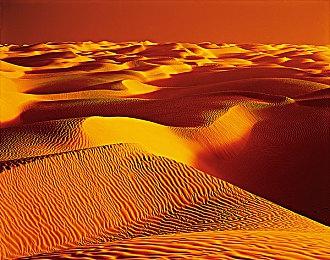 种田新作《Harvestella》公布职业系统和新角色细节